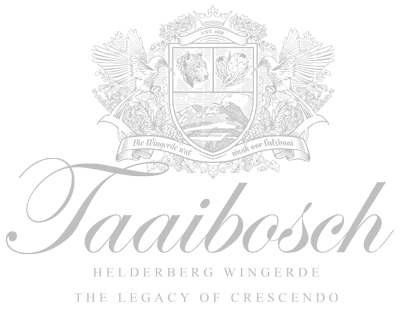 Taaibosch Collection